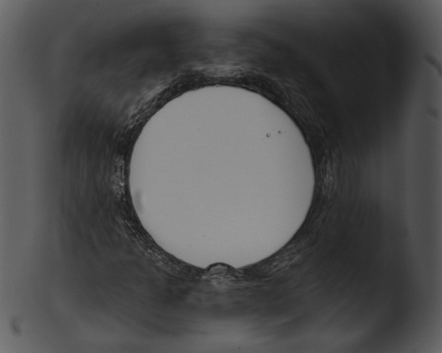 X0000103231301200809251255