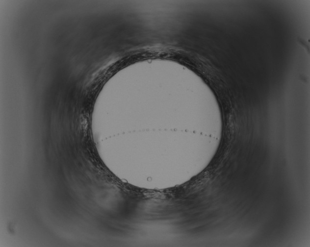 X0000103231302200809251255