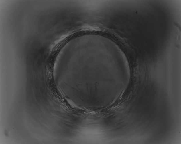 X0000103231303200809251255