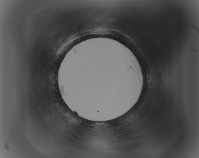 X0000103231304200809251255