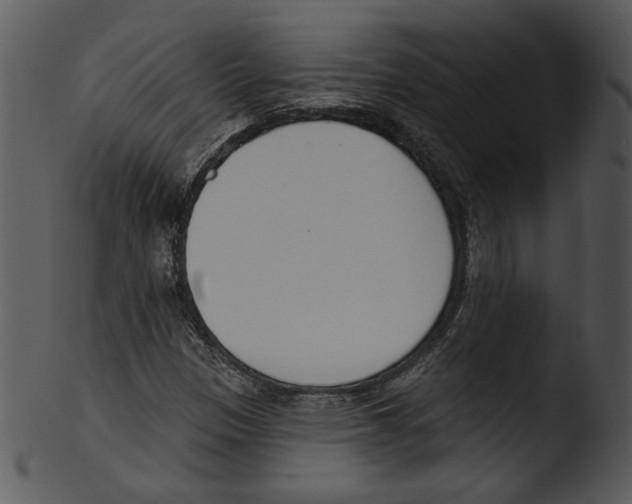 X0000103231305200809251255