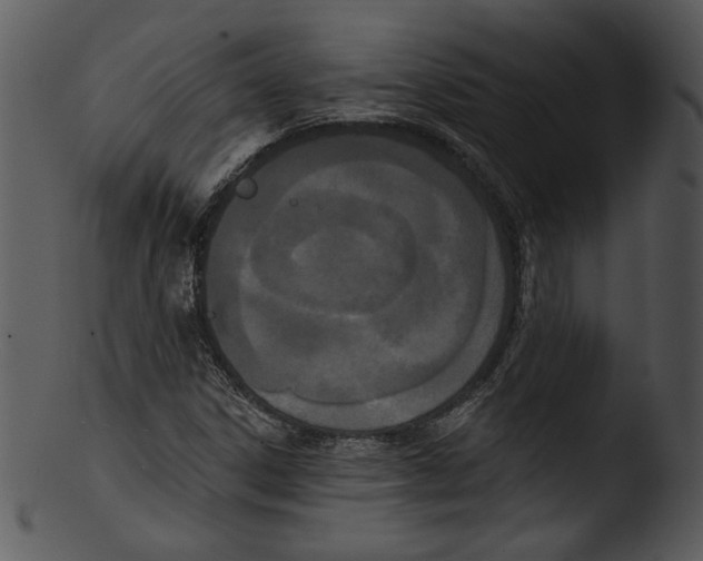 X0000103231306200809251255