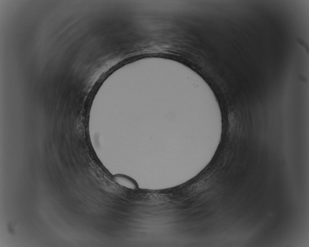 X0000103231308200809251255