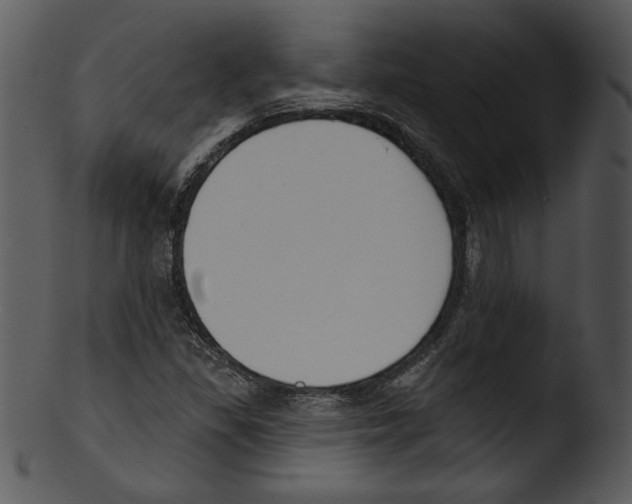 X0000103231309200809251255