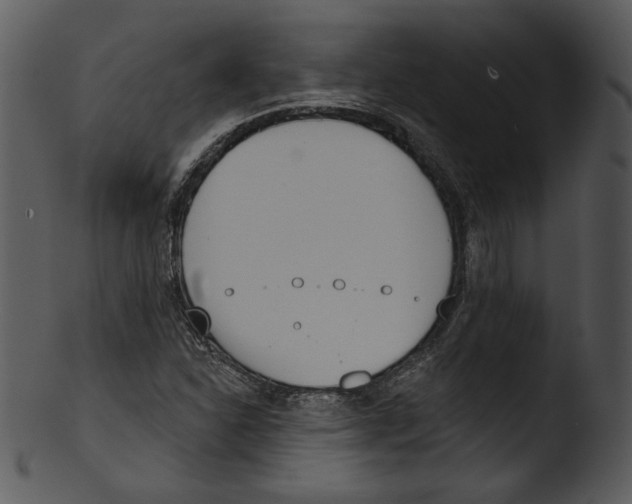 X0000103231310200809251255