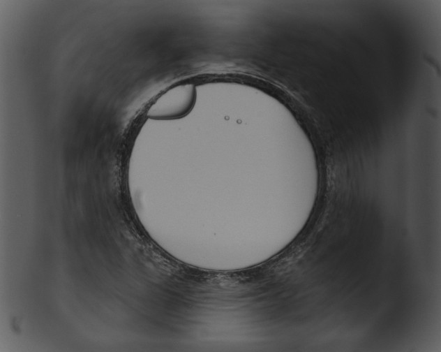 X0000103231311200809251255