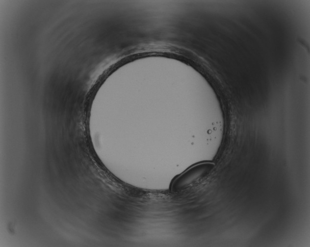 X0000103231312200809251255