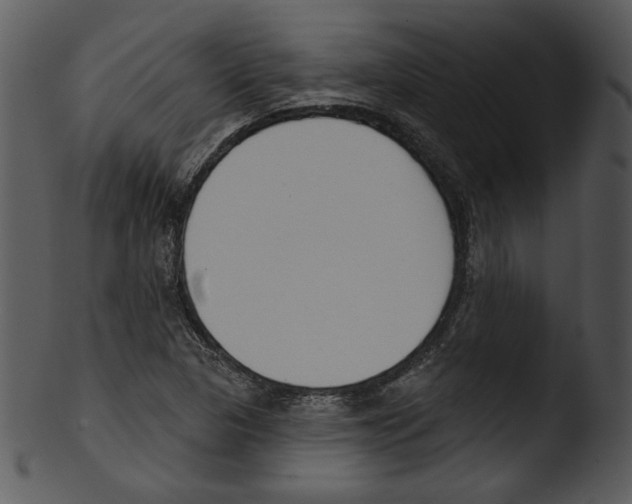 X0000103231313200809251255