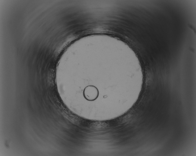 X0000103231314200809251255