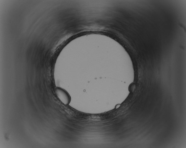 X0000103231315200809251255