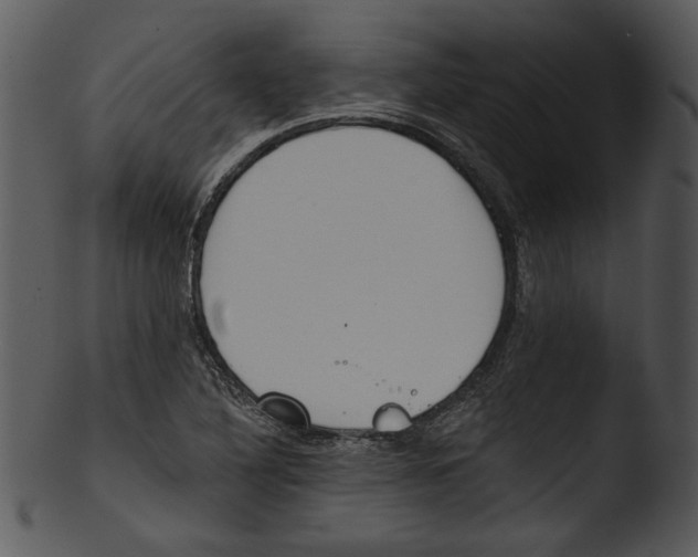 X0000103231316200809251255