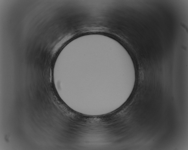 X0000103231317200809251255