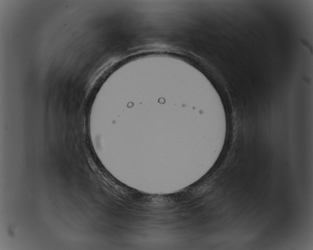 X0000103231318200809251255