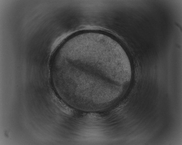 X0000103231319200809251255