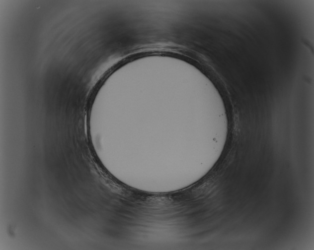 X0000103231320200809251255