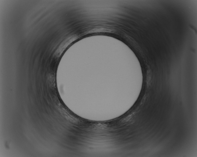 X0000103231321200809251255