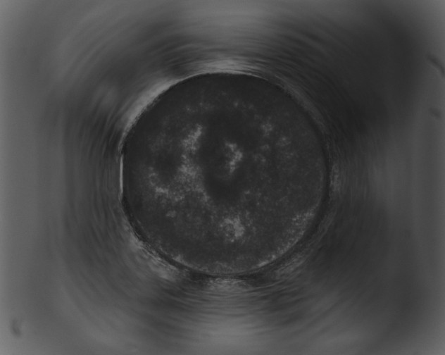 X0000103231323200809251255