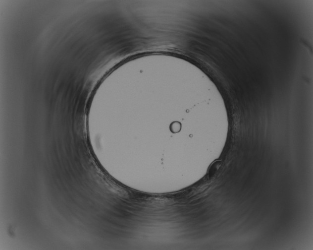 X0000103231324200809251255