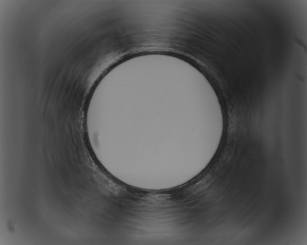 X0000103231325200809251255