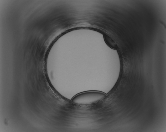 X0000103231326200809251255