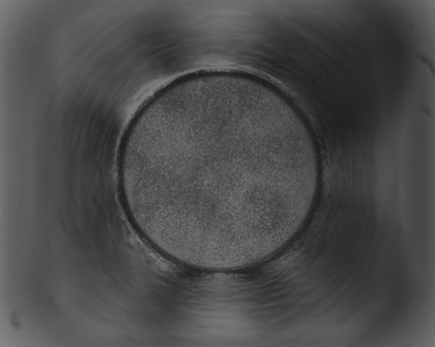 X0000103231327200809251255