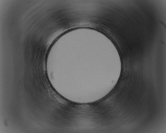 X0000103231328200809251255