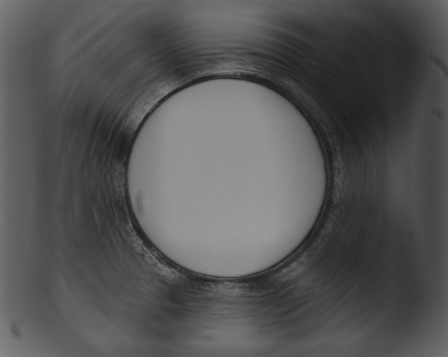 X0000103231329200809251255
