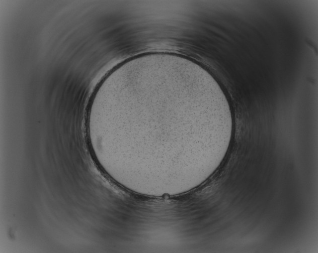 X0000103231331200809251255
