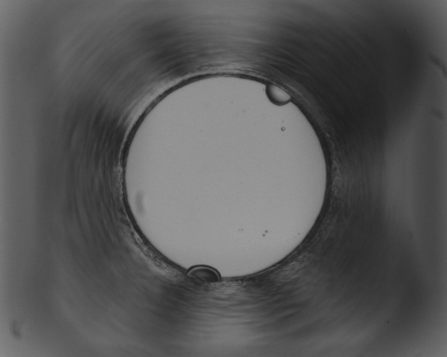 X0000103231332200809251255