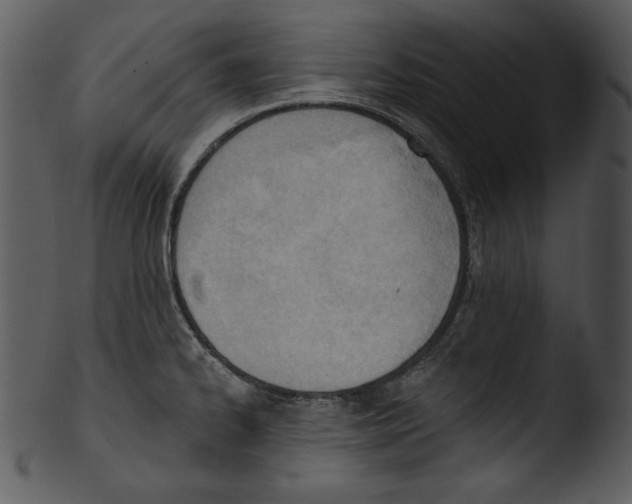 X0000103231334200809251255