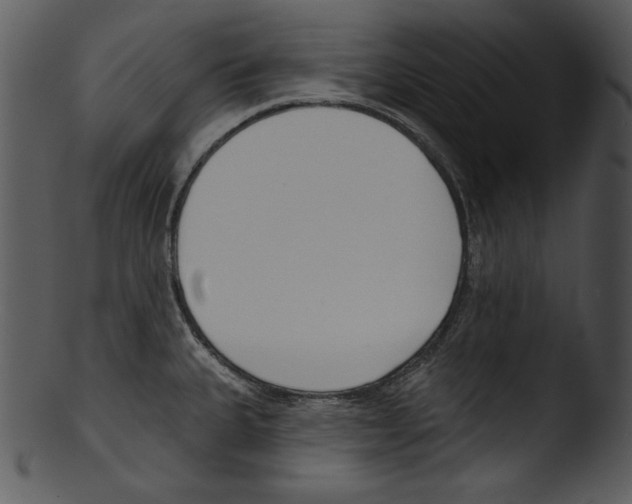 X0000103231335200809251255