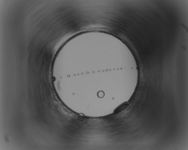 X0000103231336200809251255