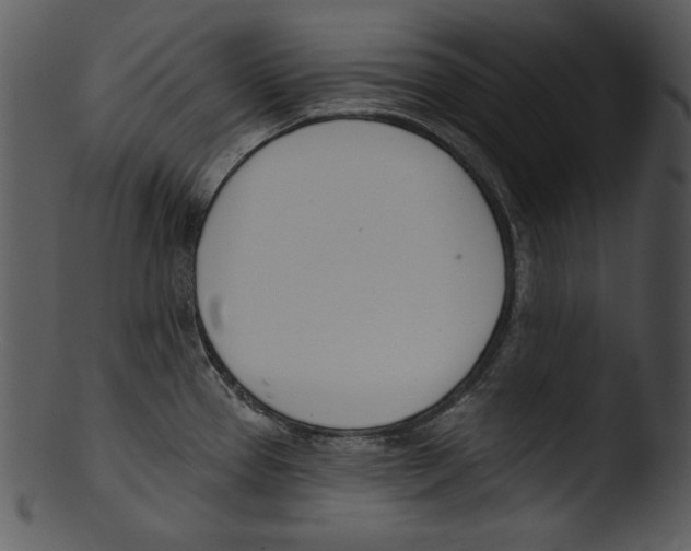 X0000103231337200809251255