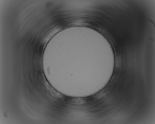 X0000103231338200809251255