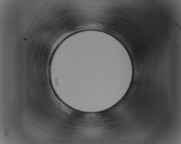 X0000103231339200809251255