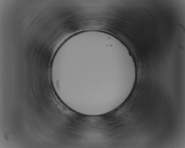 X0000103231340200809251255