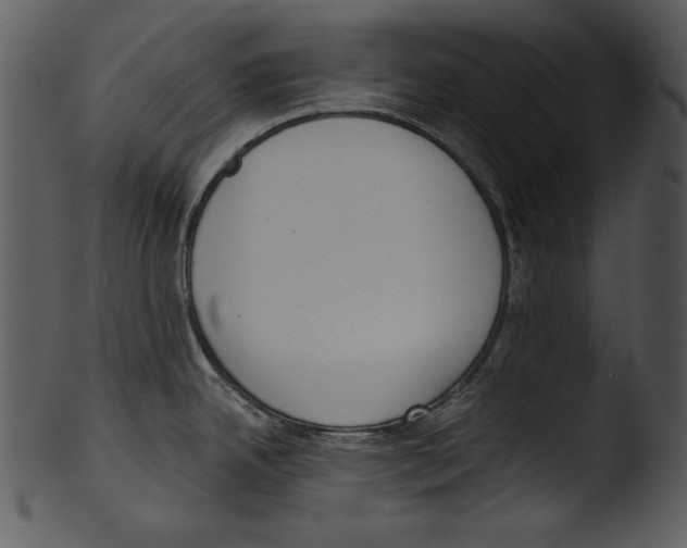 X0000103231342200809251255
