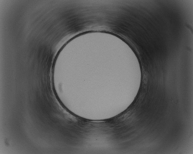 X0000103231343200809251255