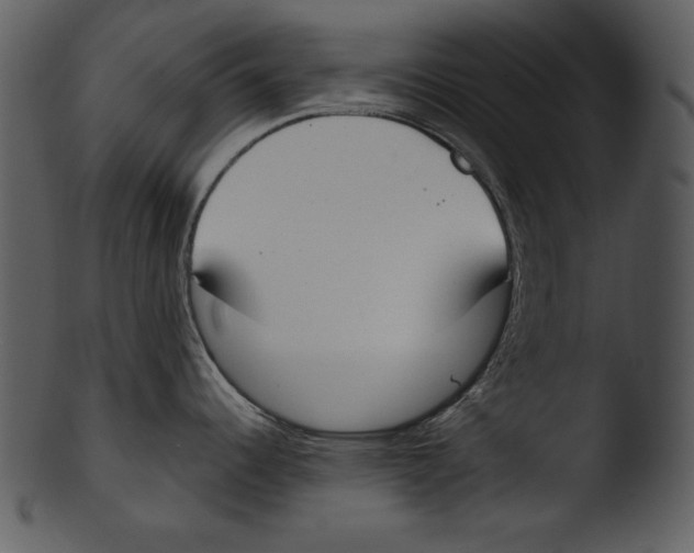 X0000103231344200809251255