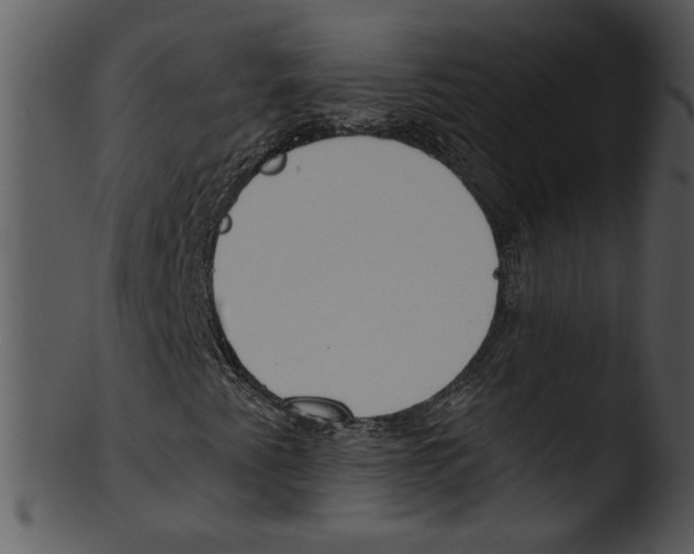 X0000103231345200809251255
