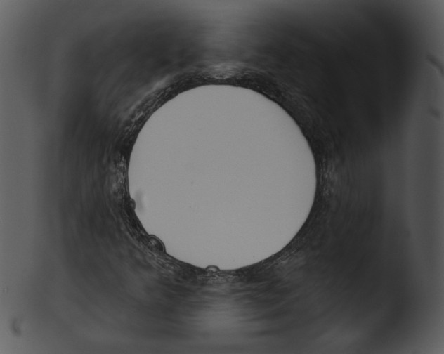 X0000103231349200809251255