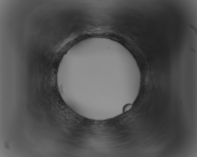 X0000103231350200809251255