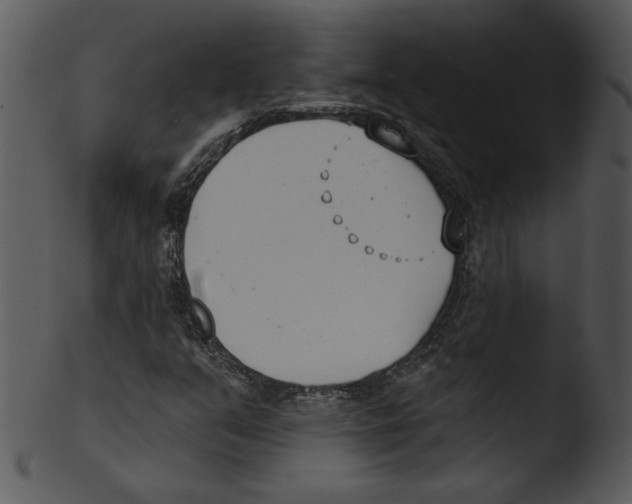X0000103231351200809251255