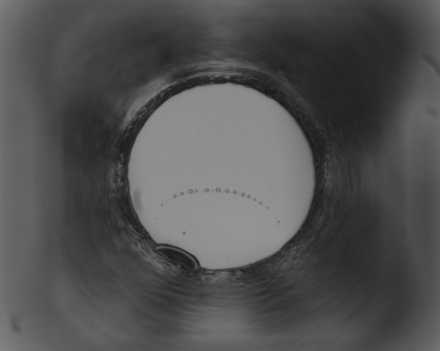 X0000103231352200809251255