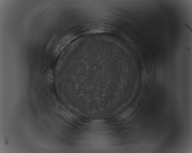 X0000103231353200809251254