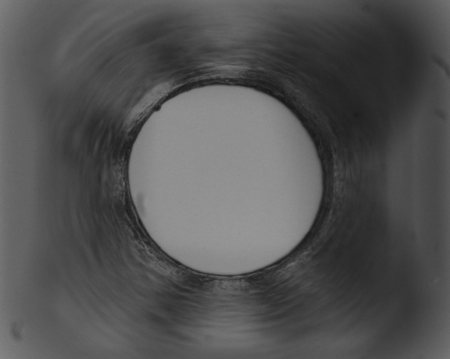 X0000103231354200809251254