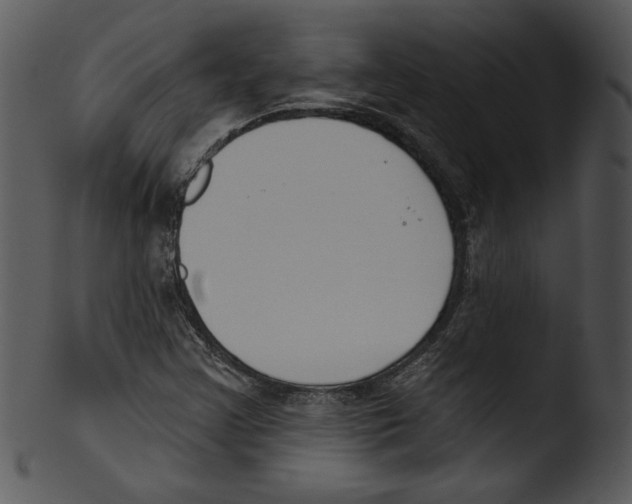 X0000103231355200809251254