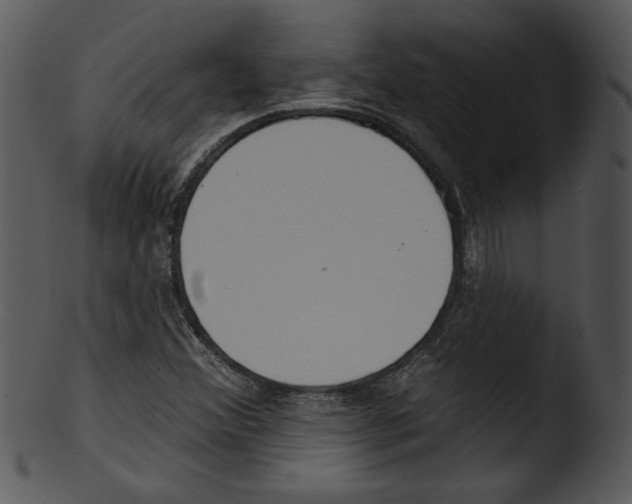 X0000103231356200809251254