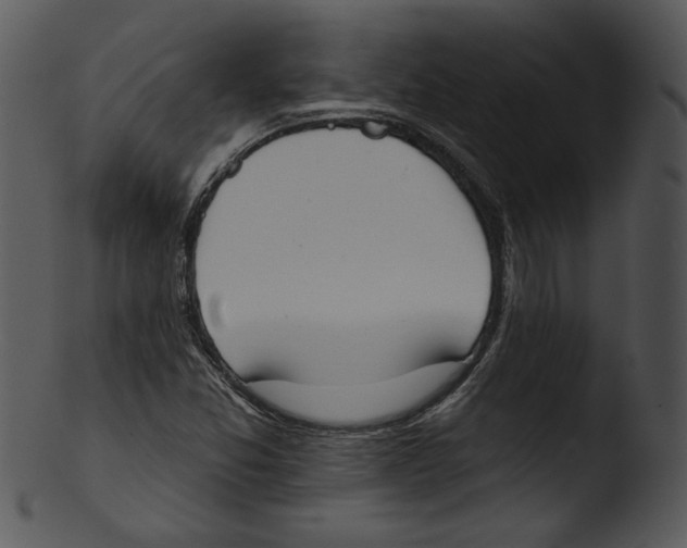 X0000103231357200809251254