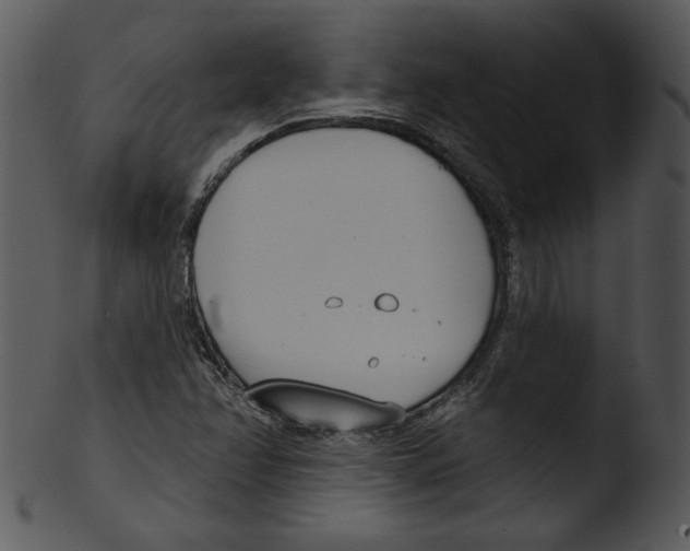 X0000103231358200809251254